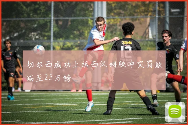 切尔西成功上诉西汉姆联冲突罚款减至25万镑
